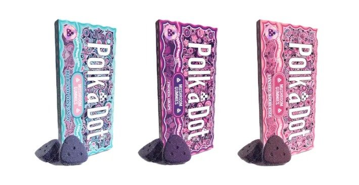 Mushroom Edibles for Sale